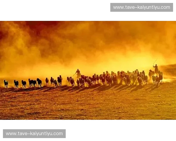 孤勇之巅：张铁泉vs世界，那抹划破黑暗的草原狼烟